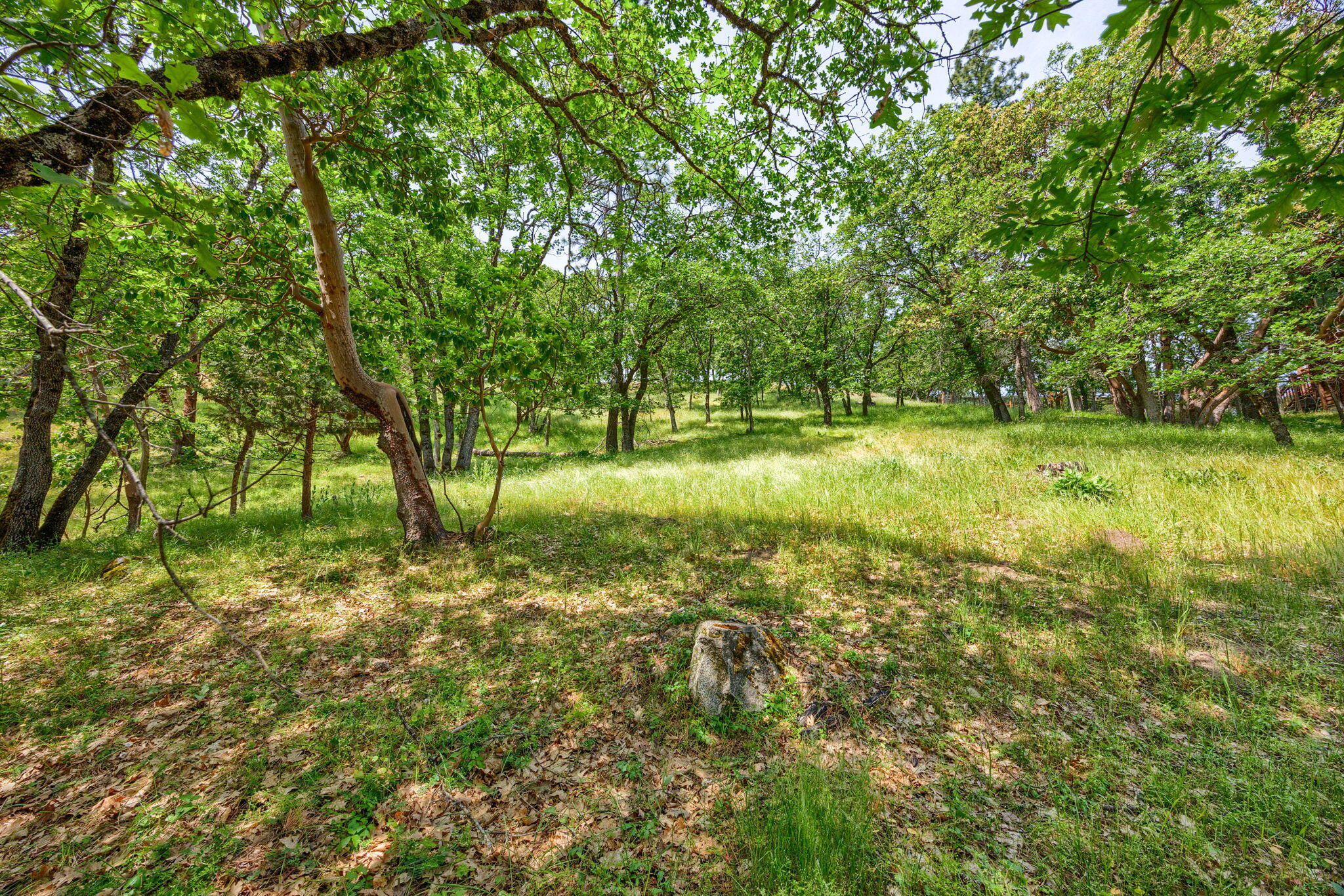 390 Strawberry Lane Ashland, OR 97520 - Photo 5 of 19 ApxSL (5)