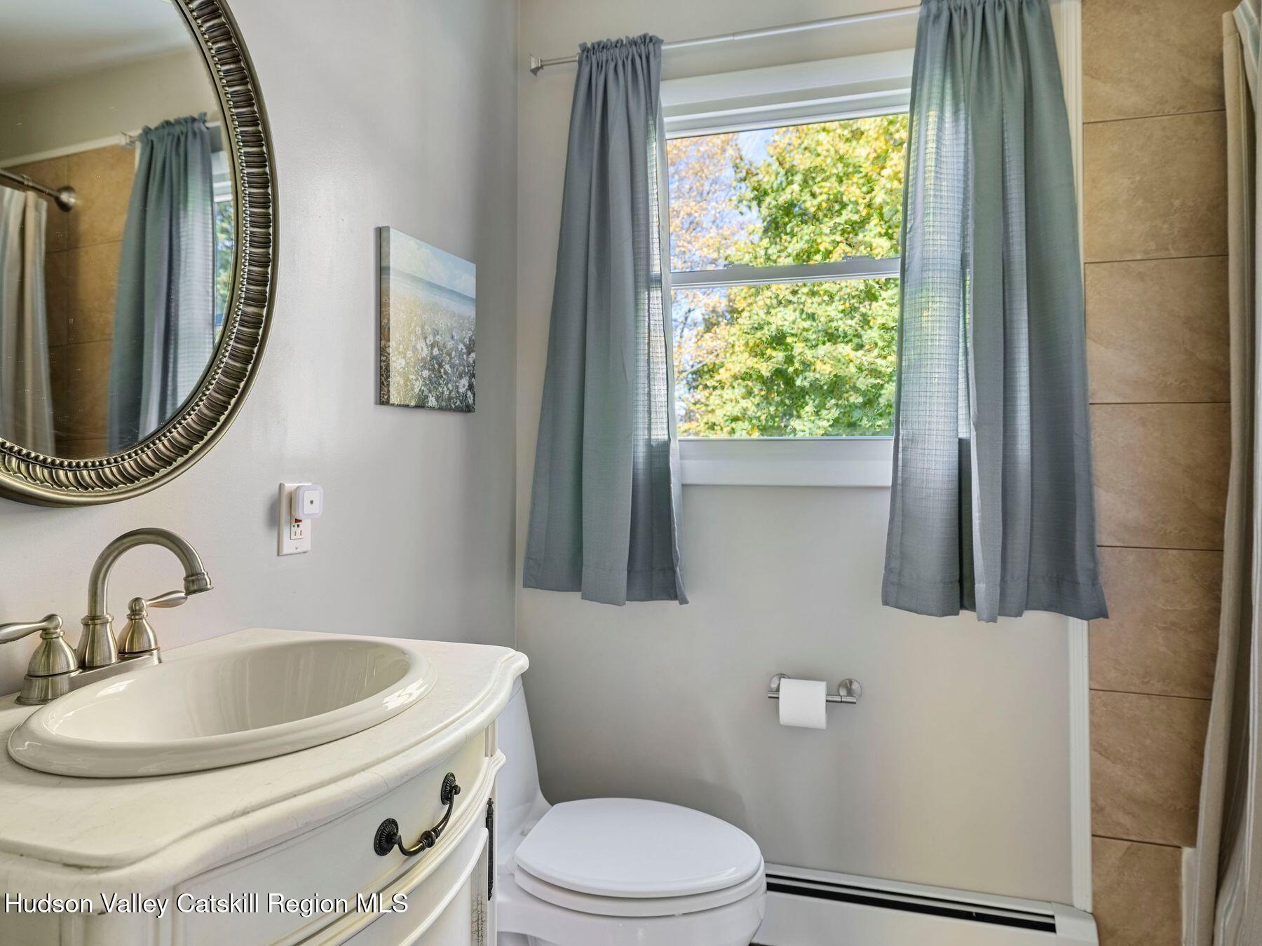 29 Hapeman Hill Road Red Hook, NY 12571 - Photo 39 of 63 a bathroom with a sink a toilet and a mirror