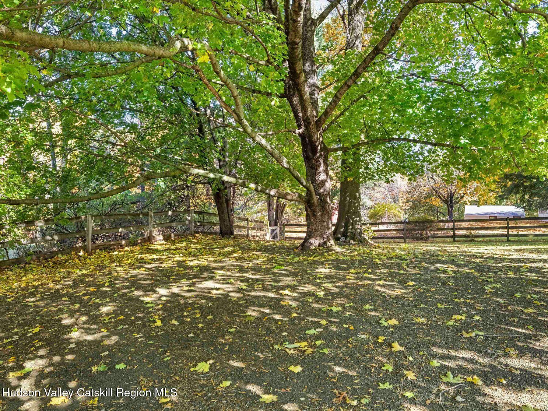 29 Hapeman Hill Road Red Hook, NY 12571 - Photo 55 of 63 a view of a trees with a yard