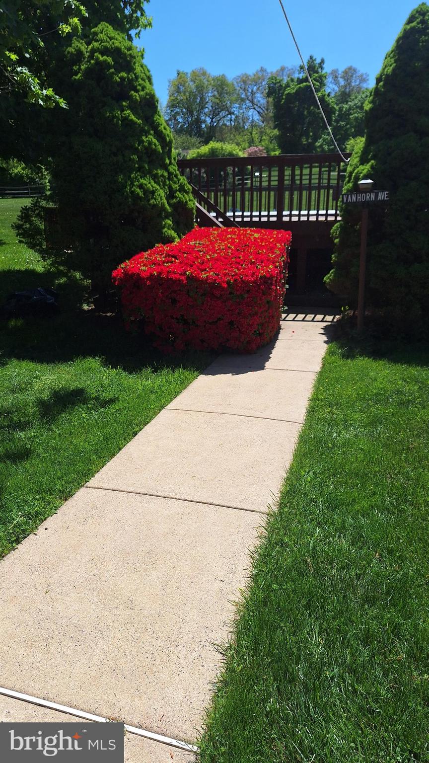 198 Bard Road Pottstown, PA 19465 - Photo 47 of 64 Sidewalk to pool with azaleas (picture from 2024)