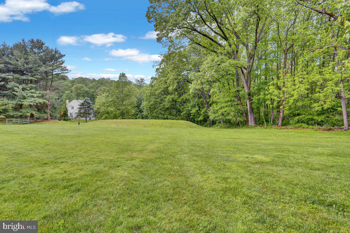 198 Bard Road Pottstown, PA 19465 - Photo 55 of 64 Side yard with sand mound