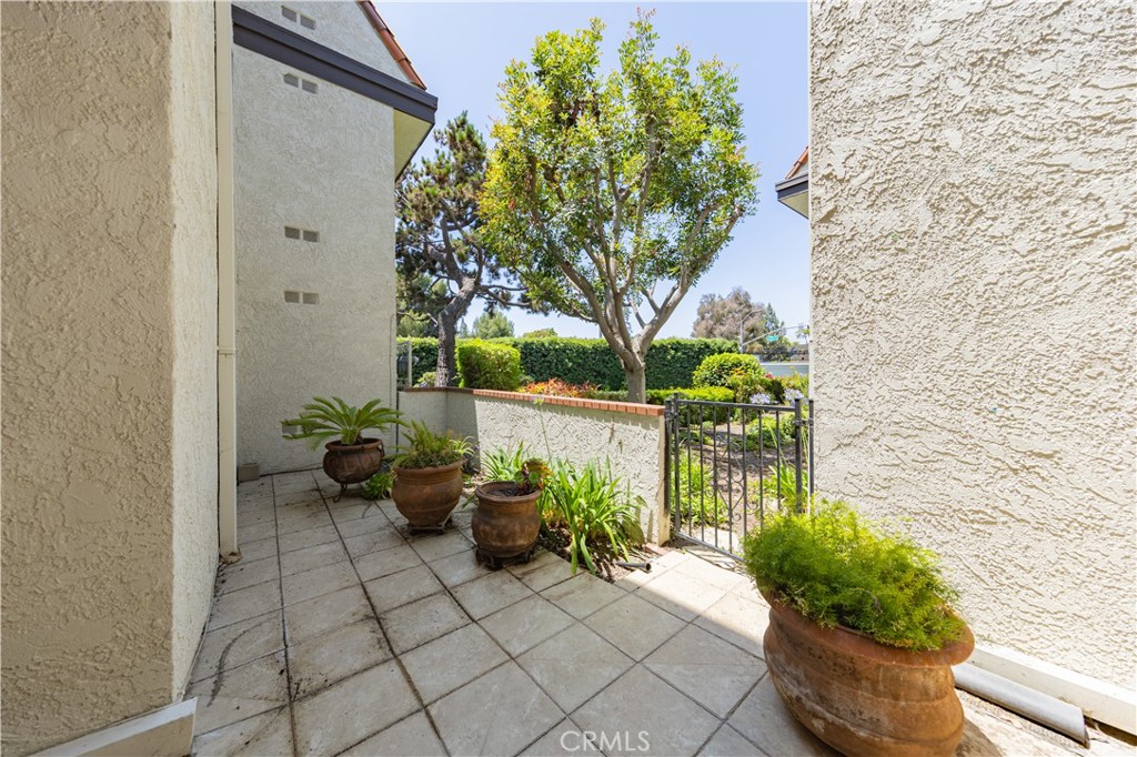 6242 Riviera Circle Long Beach, CA 90815 - Photo 19 of 29 a potted plant sitting in front of a door