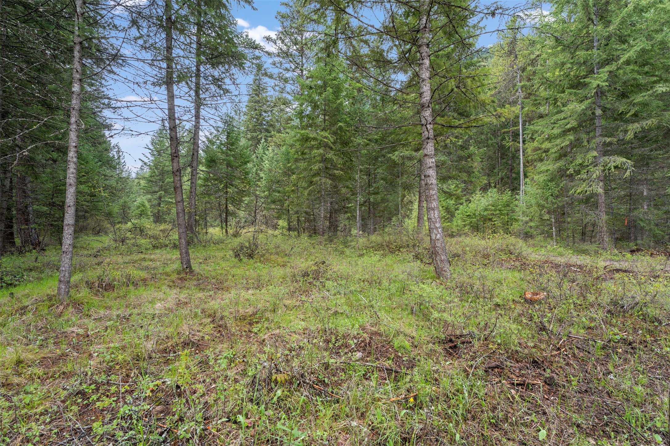 132 Spirit Walk Road Superior, MT 59872 - Photo 29 of 31 Gallery Image 29