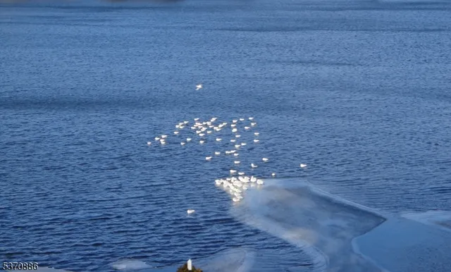 $2,300 | 19 Windemere Avenue, Unit 5, Mount Arlington, NJ 07856