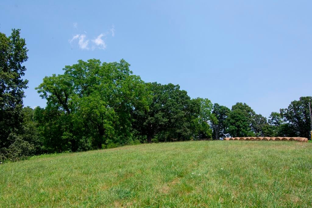 35 Co Route Forest Hill, WV 24935 - Photo 98 of 151 Gallery Image 98
