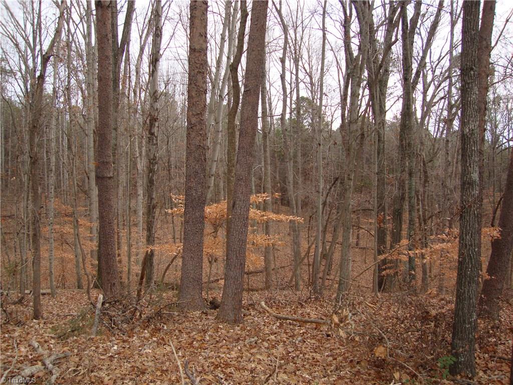 2332 Oak Ridge Road Oak Ridge, NC 27310 - Photo 11 of 25