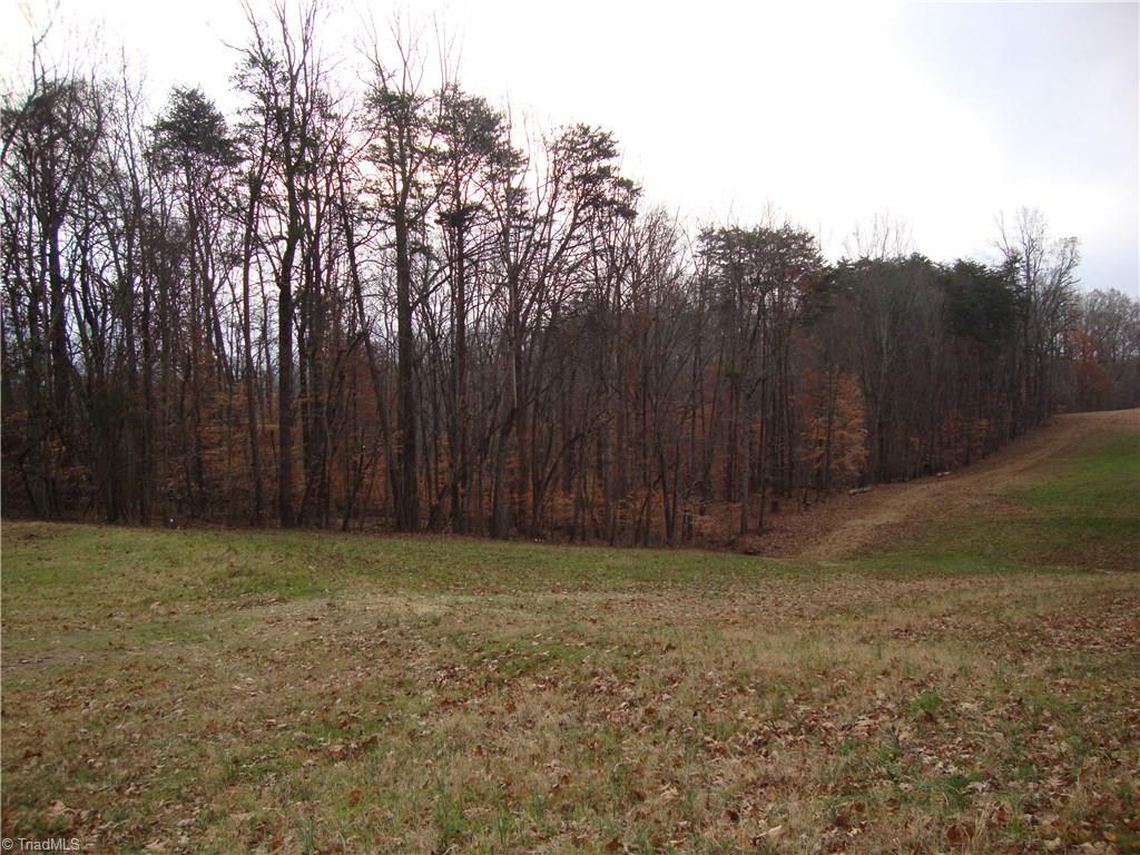 2332 Oak Ridge Road Oak Ridge, NC 27310 - Photo 14 of 25