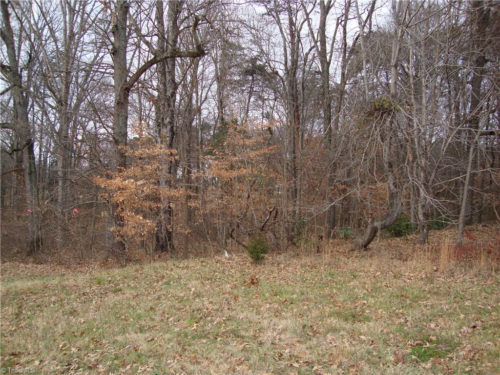 2332 Oak Ridge Road Oak Ridge, NC 27310 - Photo 18 of 25