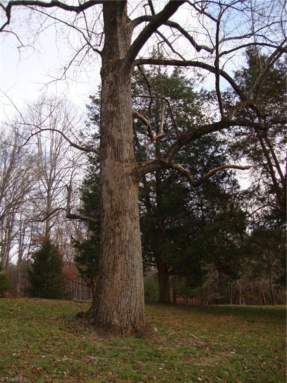 2332 Oak Ridge Road Oak Ridge, NC 27310 - Photo 20 of 25