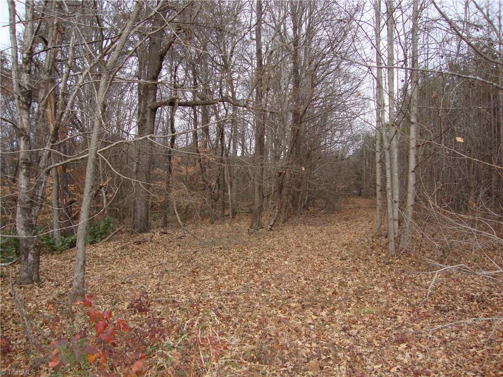 2332 Oak Ridge Road Oak Ridge, NC 27310 - Photo 7 of 25