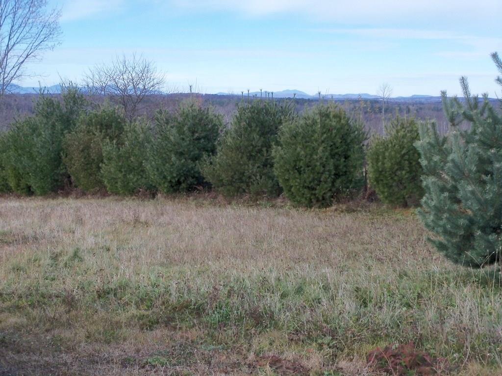 M5-l10-1 East Ridge Road Cornville, ME 04976 - Photo 5 of 15 Photo