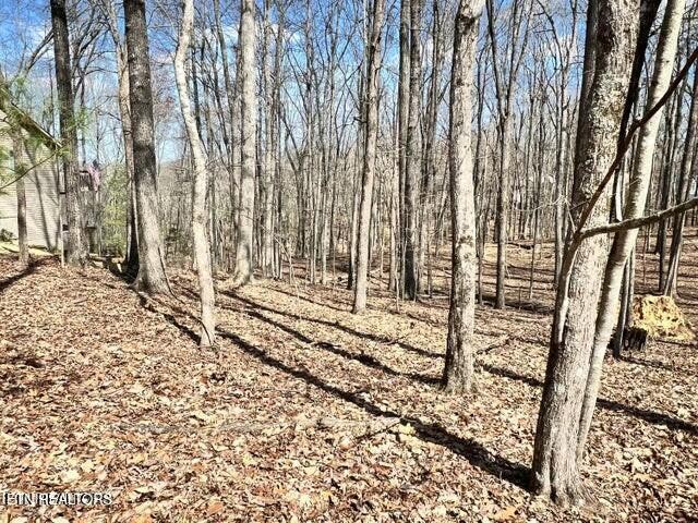 120 Pineridge Loop Crossville, TN 38558 - Photo 1 of 7 a view of a pathway with a yard