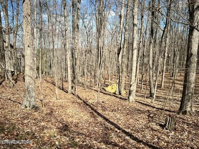 120 Pineridge Loop Crossville, TN 38558 - Photo 4 of 7 a view of a pathway with a yard