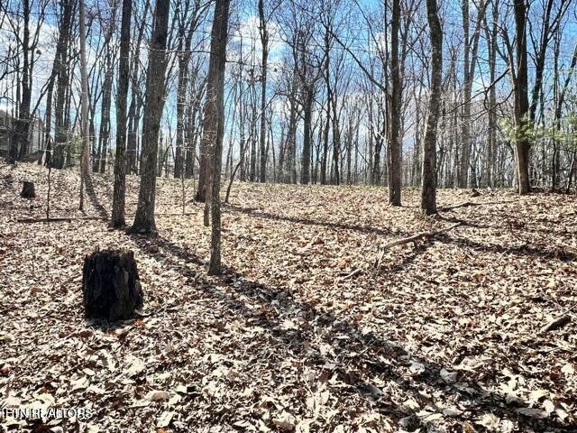 120 Pineridge Loop Crossville, TN 38558 - Photo 6 of 7 a outdoor space with lots of trees