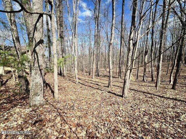 120 Pineridge Loop Crossville, TN 38558 - Photo 7 of 7 a view of a backyard of the house