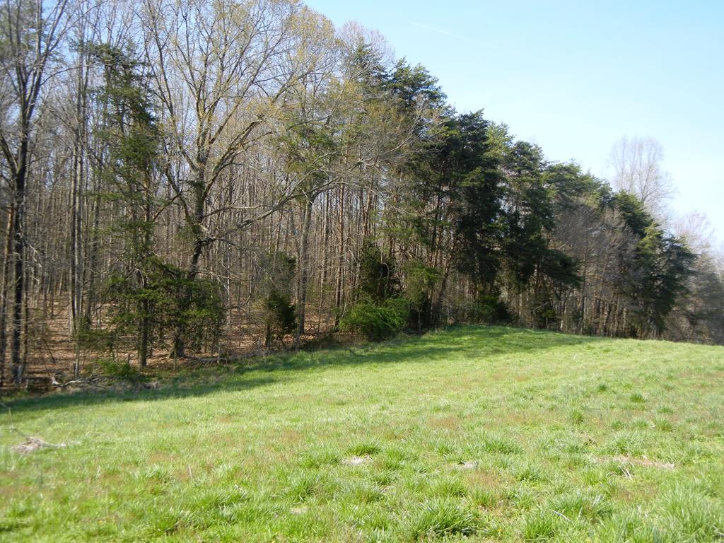 Mill Road Dillwyn, VA 23936 - Photo 28 of 29 Gallery Image 28