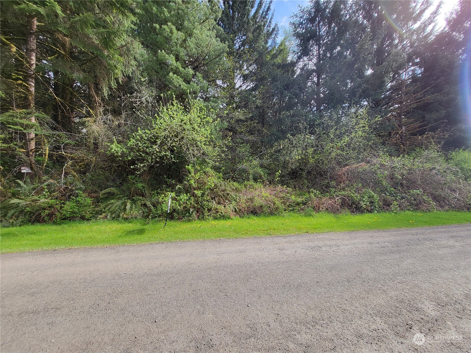 2 Riata Road Forks, WA 98331 - Photo 4 of 4 Gallery Image 4