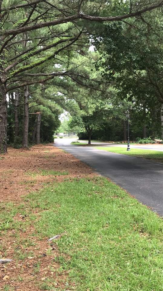 7045 Oak Point Lane Fairhope, AL 36532 - Photo 5 of 10
