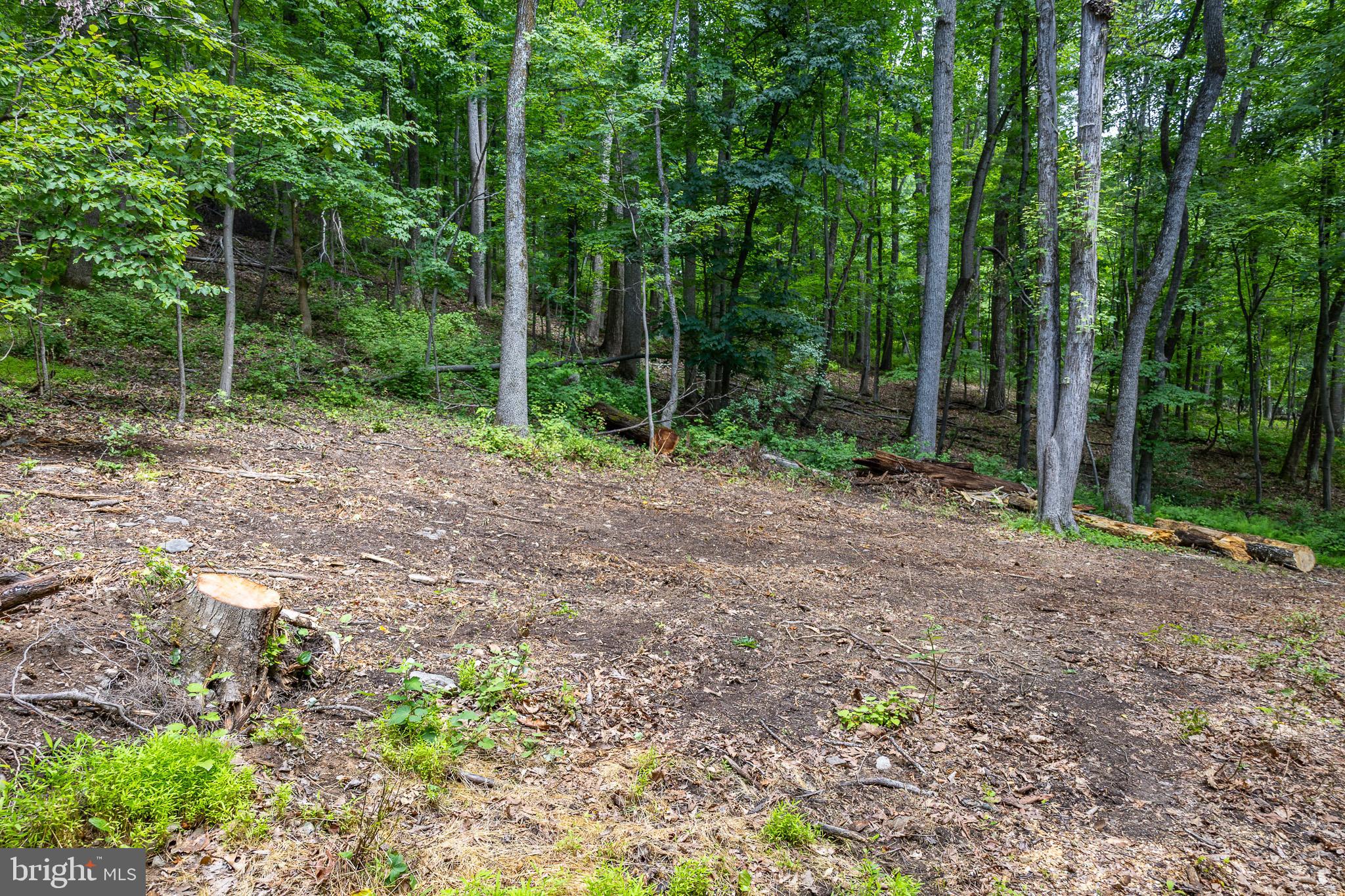 Tbd Comptons Road Castleton, VA 22716 - Photo 18 of 33