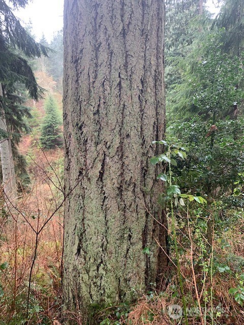 -xxx Hellman Road Clinton, WA 98236 - Photo 13 of 15