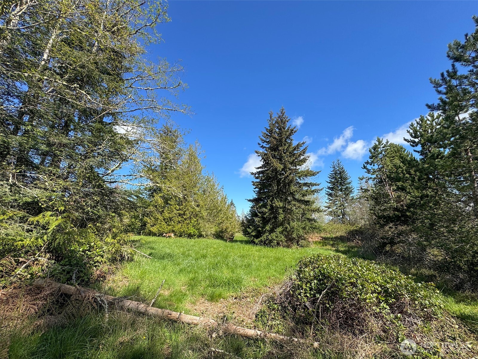 9999 Elk Pass Road Sequim, WA 98382 - Photo 18 of 40