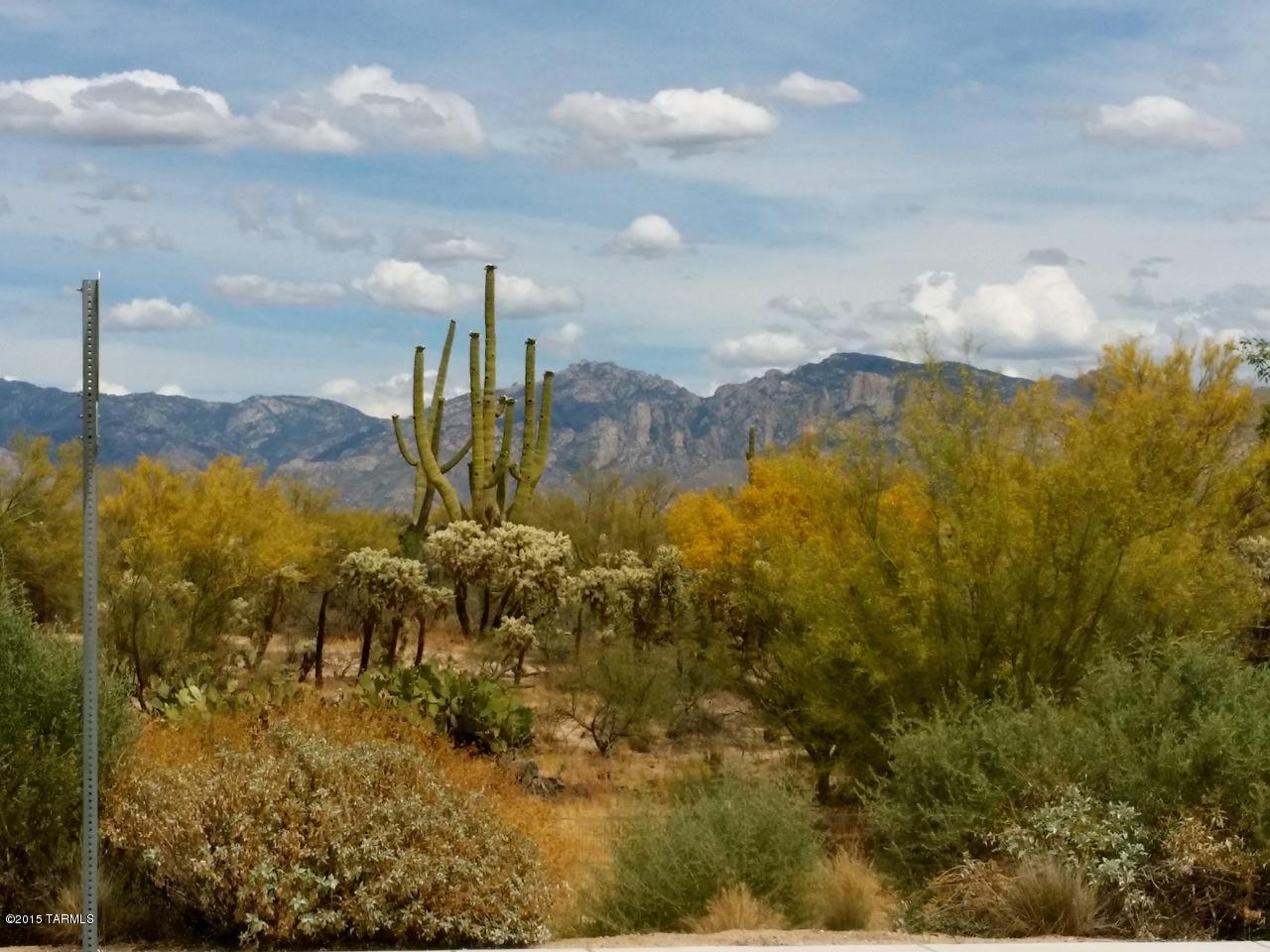 0 West Twin Peaks Road Tucson, AZ 85742 - Photo 12 of 13 a view of a city