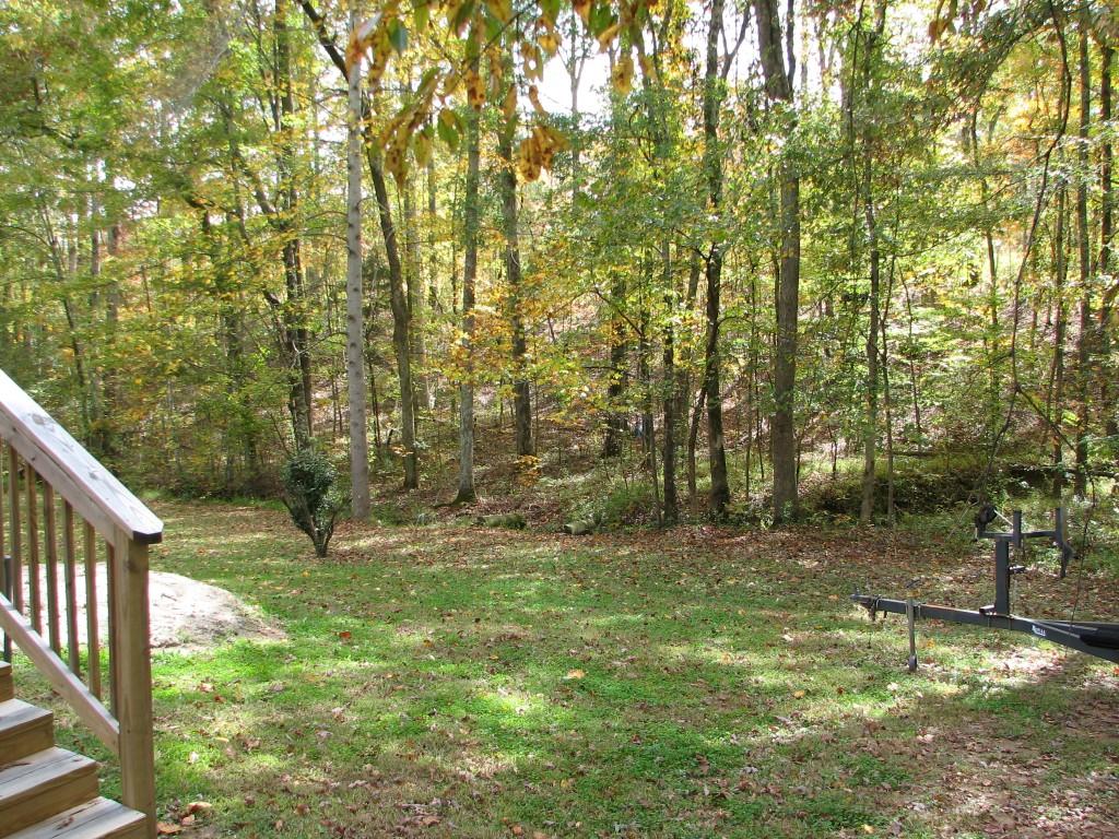 299 Randall Fugate Road Spring City, TN 37381 - Photo 13 of 13 view of lot (Medium)