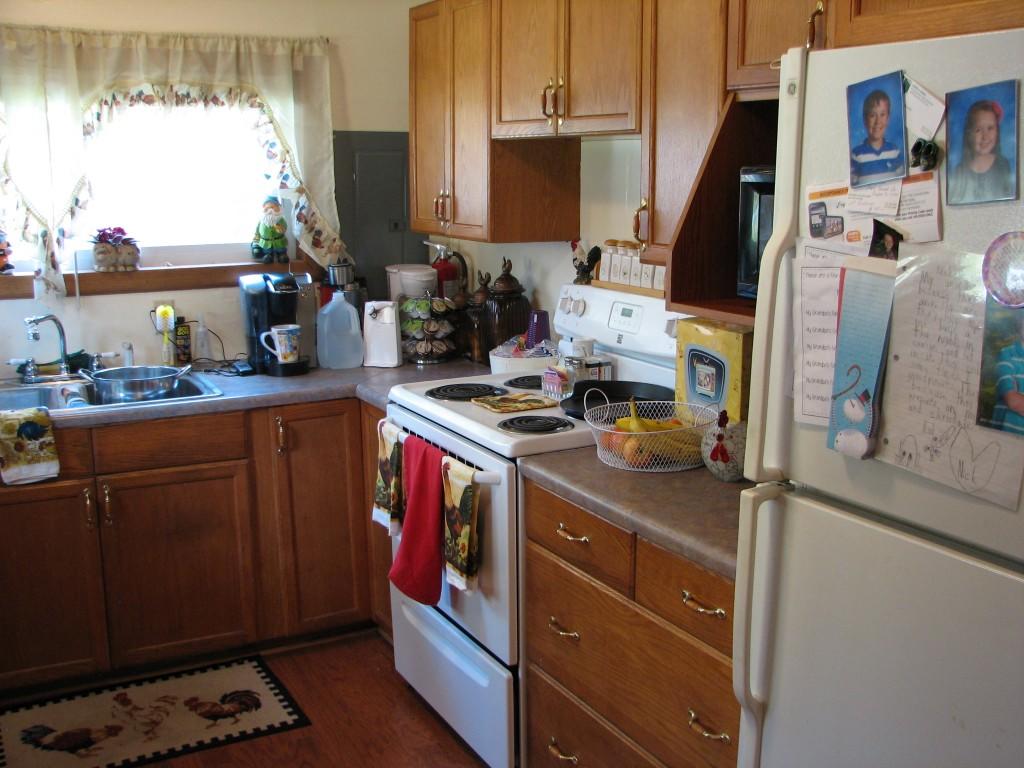 299 Randall Fugate Road Spring City, TN 37381 - Photo 4 of 13 kitchen (Medium)