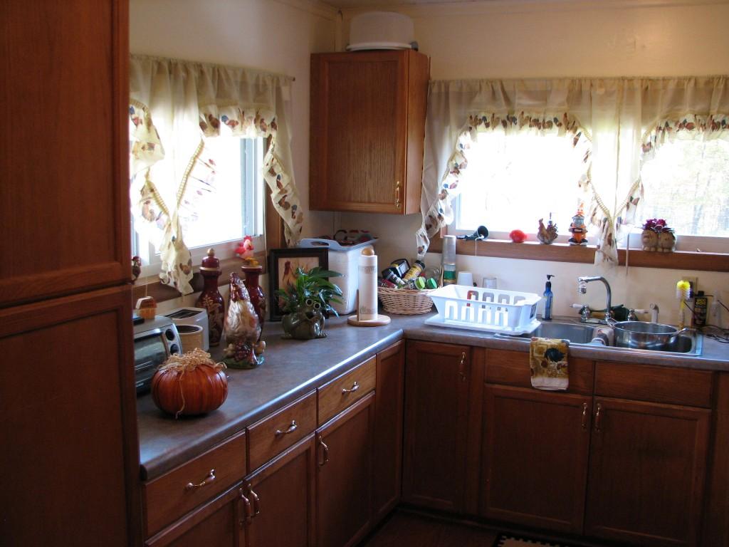 299 Randall Fugate Road Spring City, TN 37381 - Photo 6 of 13 kitchen 2 (Medium)