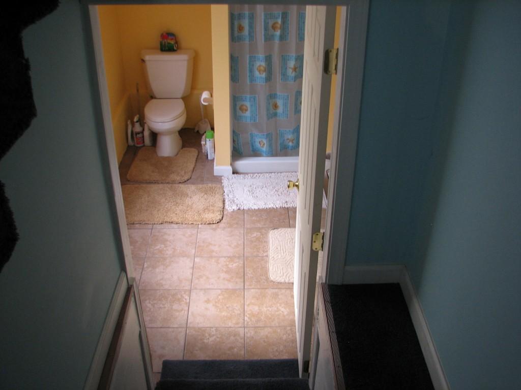 299 Randall Fugate Road Spring City, TN 37381 - Photo 8 of 13 bathroom (Medium)