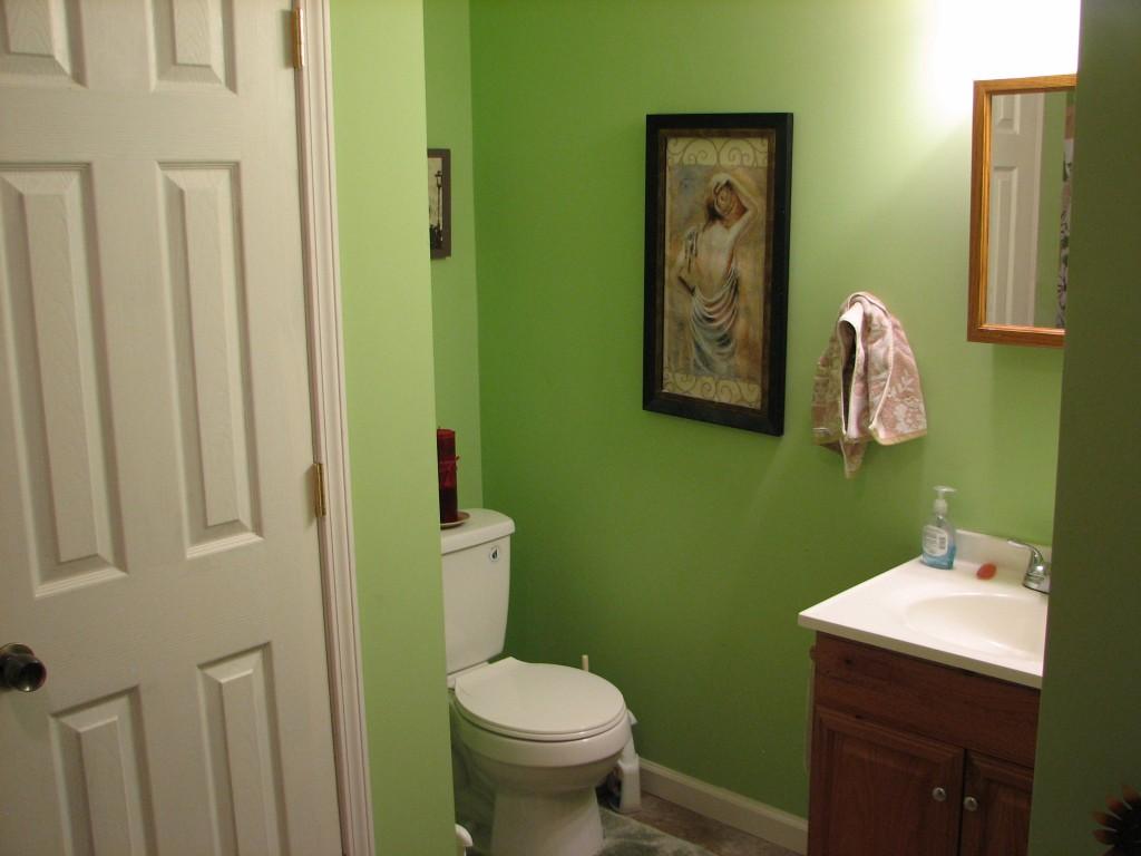 299 Randall Fugate Road Spring City, TN 37381 - Photo 9 of 13 2nd view of bathroom 2 (Medium)