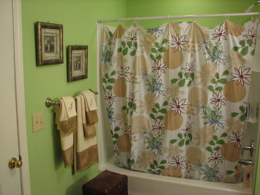 299 Randall Fugate Road Spring City, TN 37381 - Photo 10 of 13 bathroom 2 (Medium)