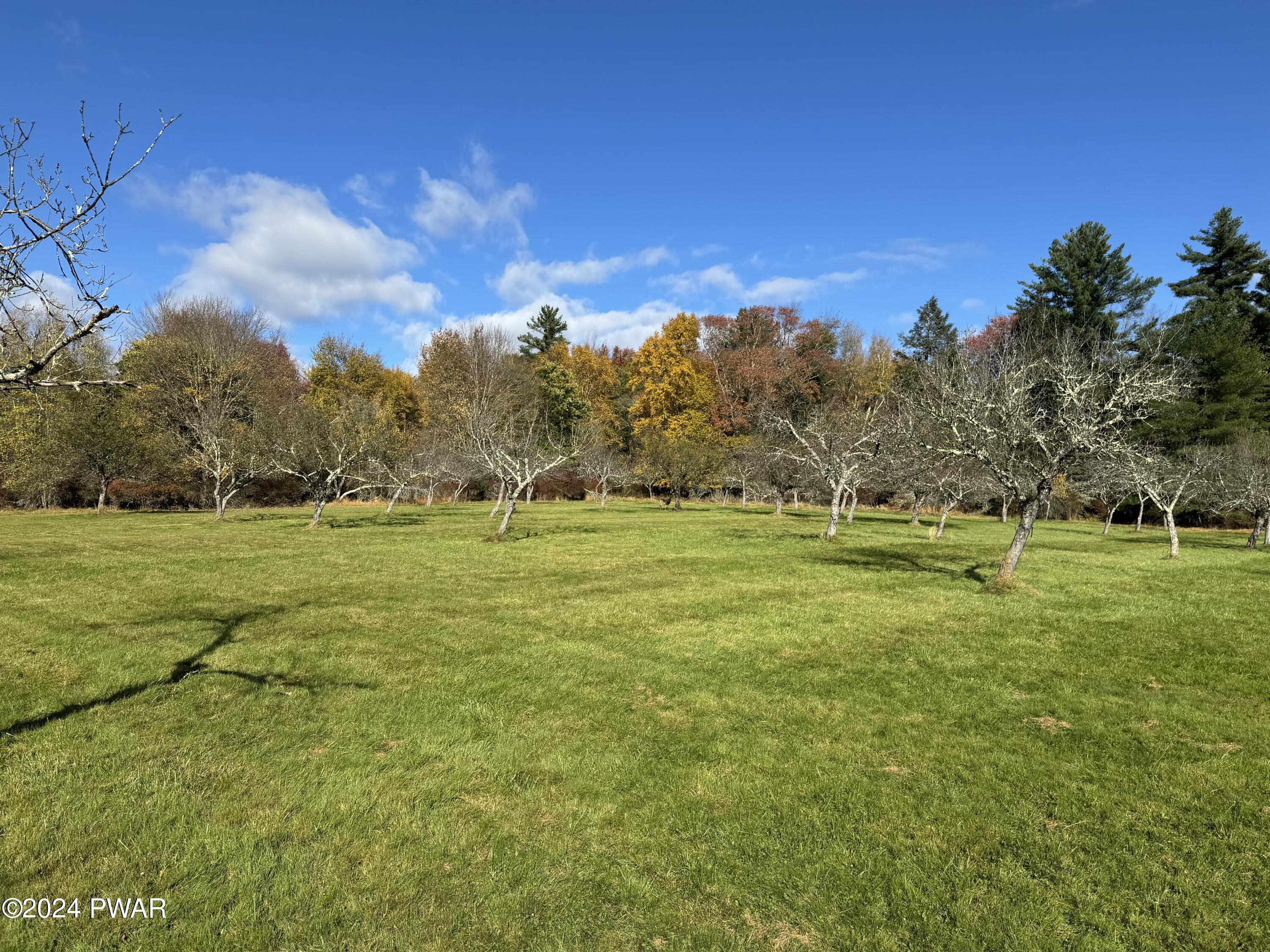 191 Mohn Road Beach Lake, PA 18405 - Photo 2 of 25