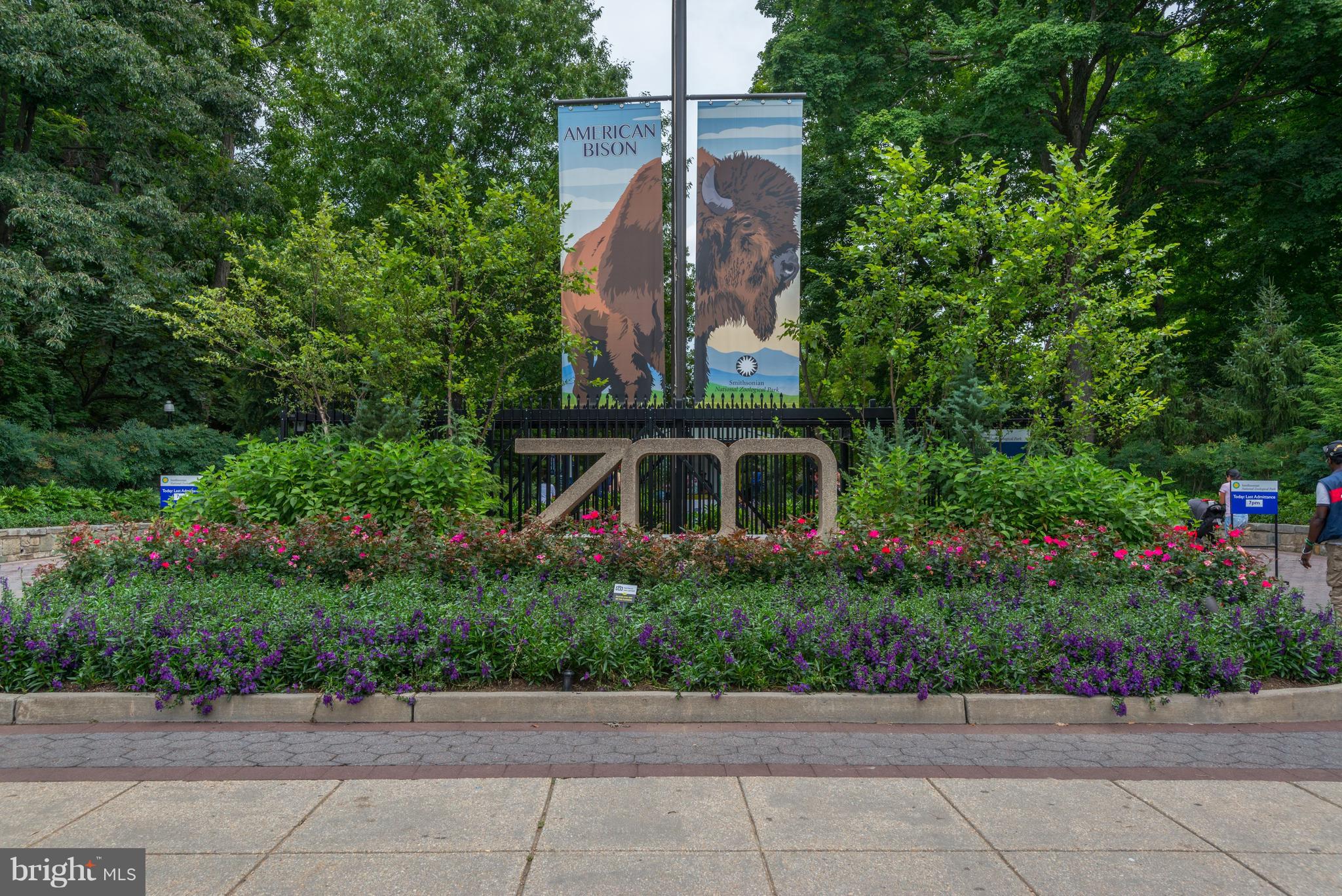 2853 Ontario Road Northwest, Unit 501 Washington, DC 20009 - Photo 24 of 25 Smithsonian National Zoo