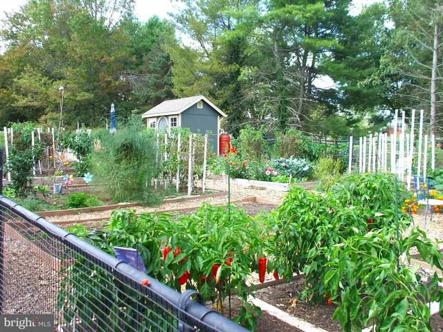 a garden covered with tall trees