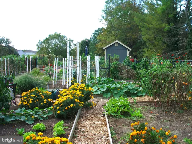 a view of a house with a big yard and large trees