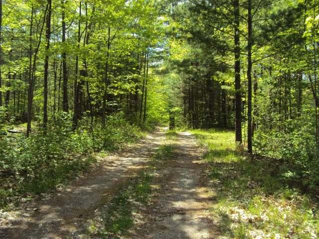 6550 South Bluebird Road Lake Tomahawk, WI 54539 - Photo 24 of 26 Gallery Image 24