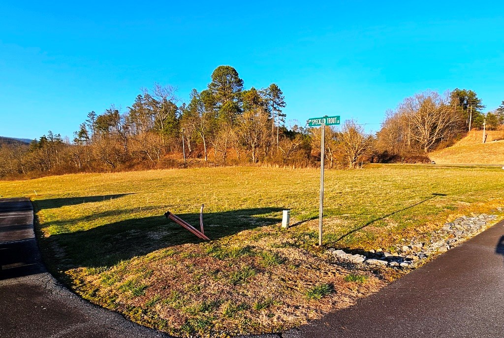 Lot 20 Trophy Trout Inlet Marble, NC 28905 - Photo 2 of 21