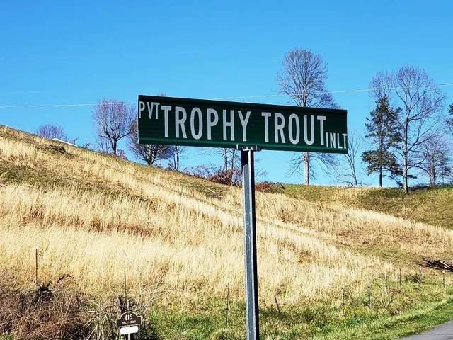 $29,900 | Lot 20 Trophy Trout Inlet, Marble, NC 28905
