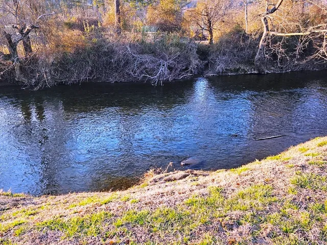 $29,900 | Lot 20 Trophy Trout Inlet, Marble, NC 28905