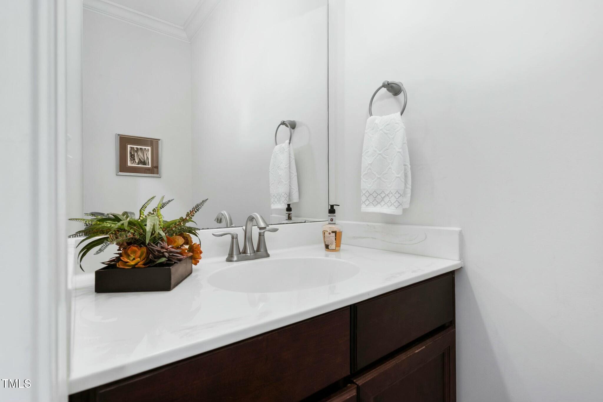 1052 Monmouth Loop Cary, NC 27513 - Photo 17 of 37 a bathroom with a sink a vanity and a potted plant