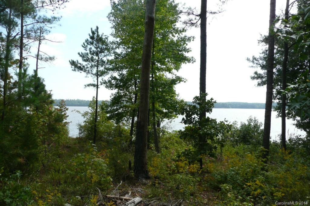 Lot 4 Brunson Road Fort Lawn, SC 29714 - Photo 1 of 9 Gallery Image 1