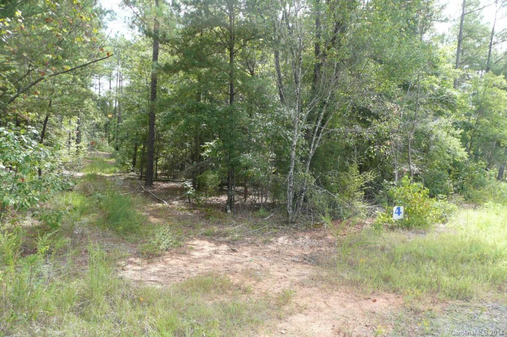 Lot 4 Brunson Road Fort Lawn, SC 29714 - Photo 2 of 9 Gallery Image 2