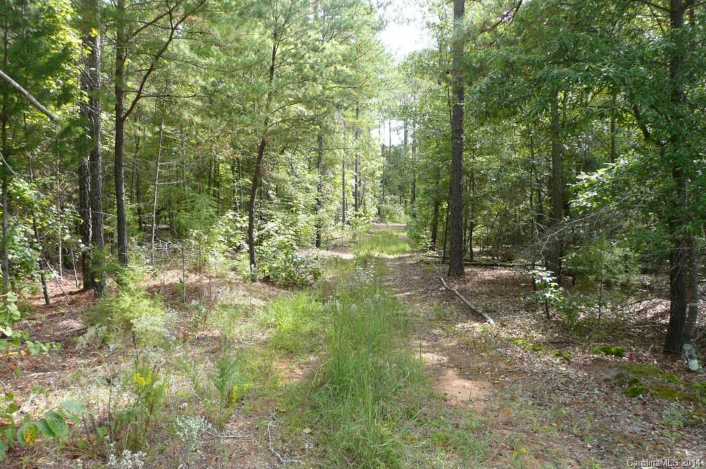 Lot 4 Brunson Road Fort Lawn, SC 29714 - Photo 3 of 9 Gallery Image 3