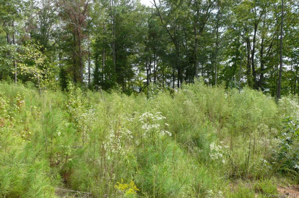 Lot 4 Brunson Road Fort Lawn, SC 29714 - Photo 4 of 9 Gallery Image 4