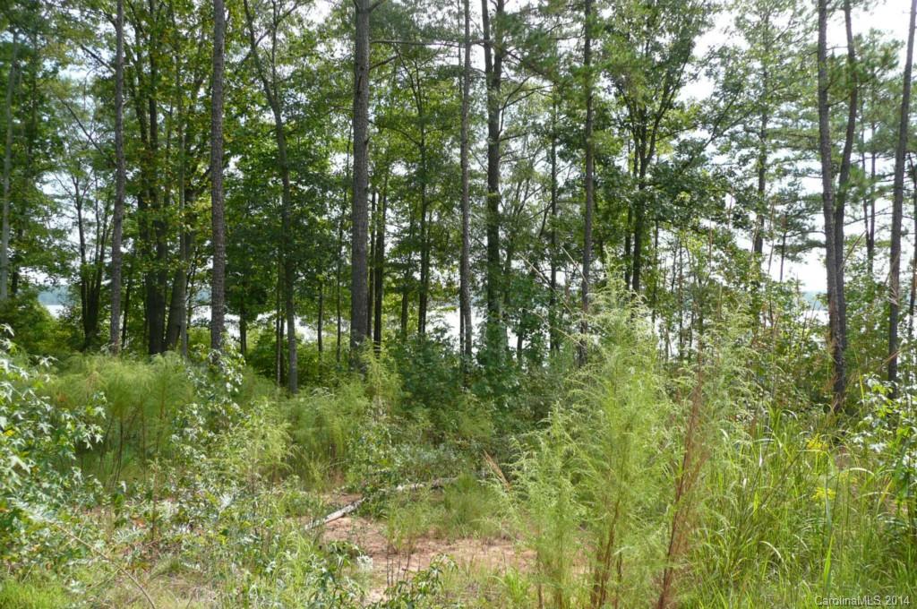 Lot 4 Brunson Road Fort Lawn, SC 29714 - Photo 5 of 9 Gallery Image 5