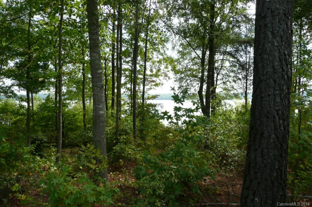 Lot 4 Brunson Road Fort Lawn, SC 29714 - Photo 6 of 9 Gallery Image 6