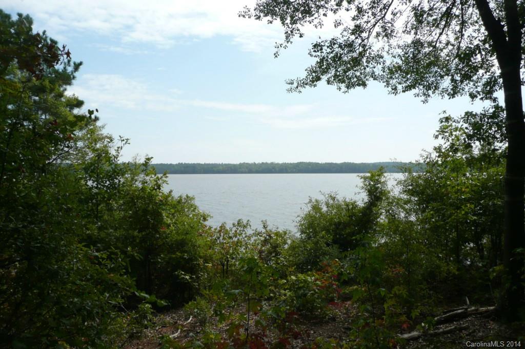 Lot 4 Brunson Road Fort Lawn, SC 29714 - Photo 7 of 9 Gallery Image 7