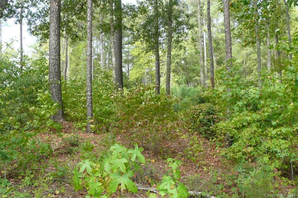 Lot 4 Brunson Road Fort Lawn, SC 29714 - Photo 9 of 9 Gallery Image 9