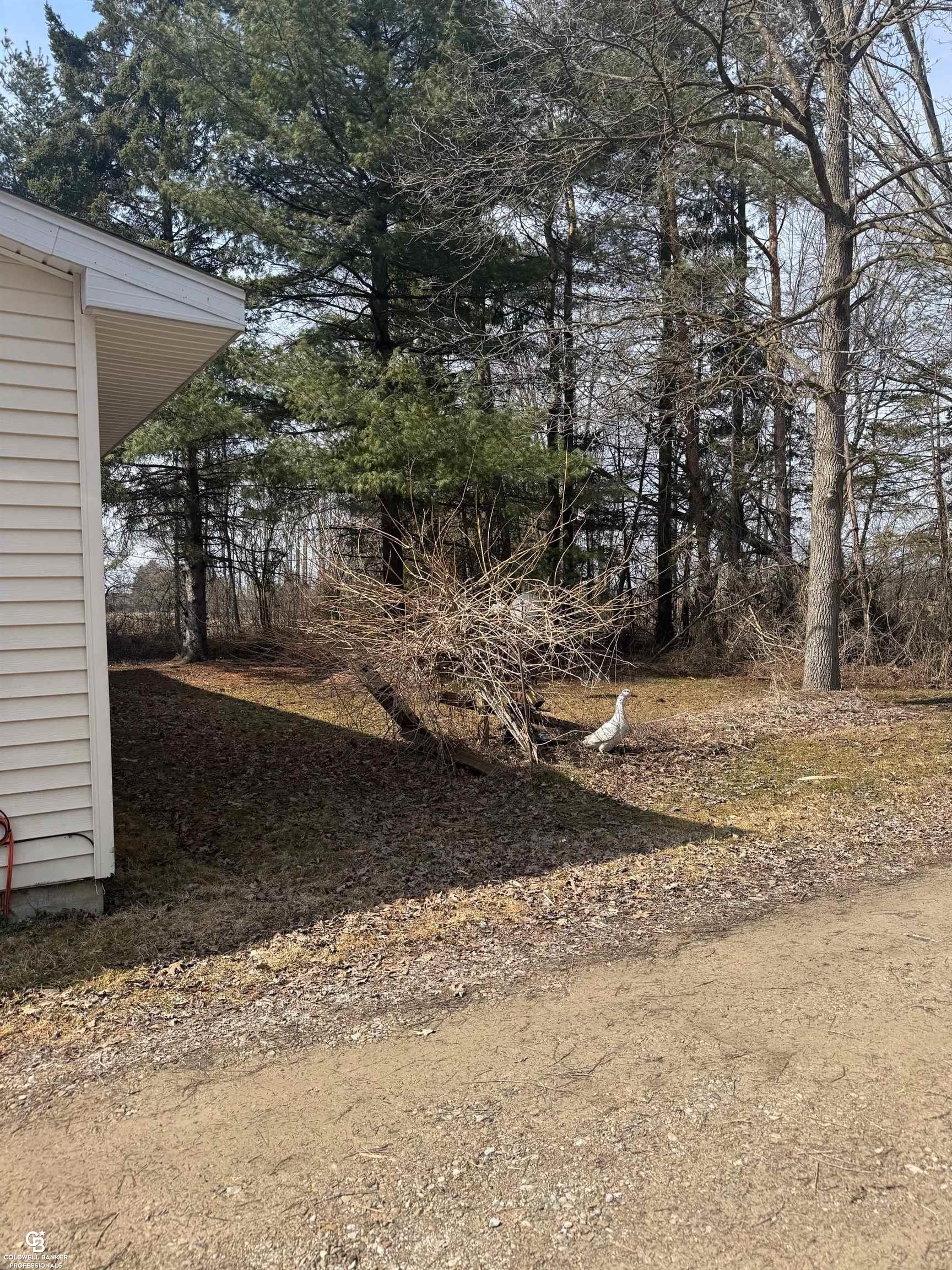 11105 Bryce Road Emmett, MI 48022 - Photo 6 of 44 50169414-aa66b2d7-3736-43ae-ad18-d6fa33ef9f53.JPG